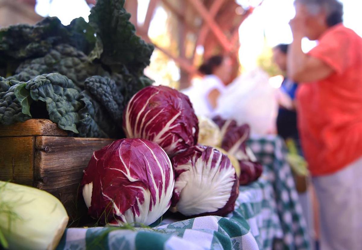 Radicchio contains lutein and zeaxanthin, the two phytonutrients that can slow progression of age-related macular degeneration.