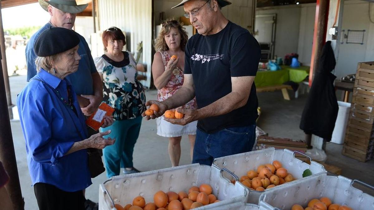In this 2013 file photo, Ted Loewen, right, shows off some of the fruit grown on the family owned and operated Blossom Bluff Orchards. They grow, pack and have a farm store, which is between Parlier and Reedley on the Fresno County Fruit Trail.