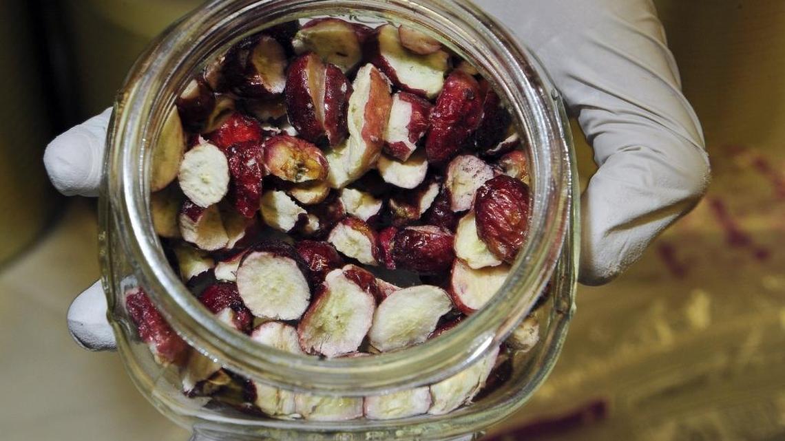 Homegrown Organic Farm’s freeze-dried grapes.