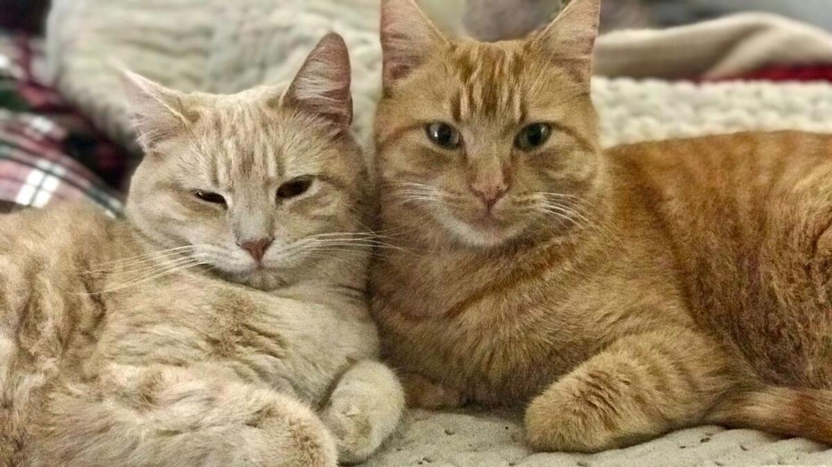 Squirt and Jerry posing for a picture