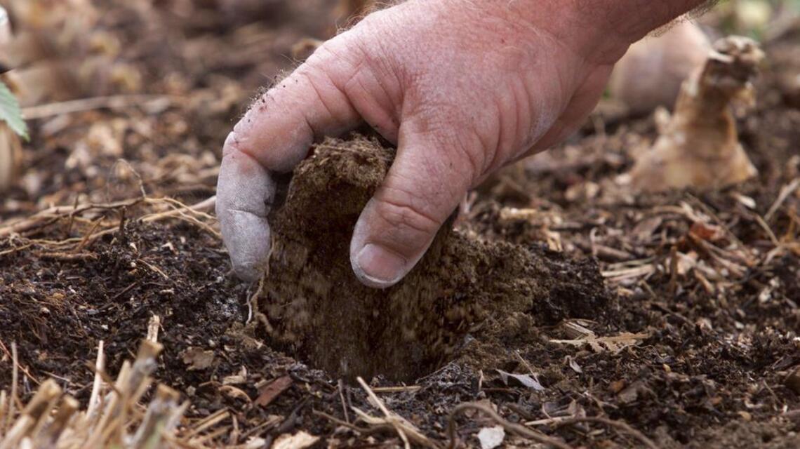 Valley soil can be a challenge. Try these fertilizing tips to get best plant results