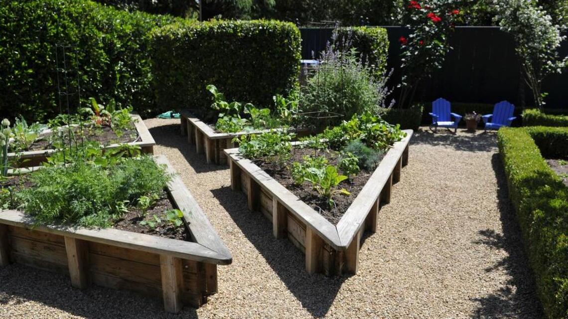 Step-by-step instructions on solarizing your soil