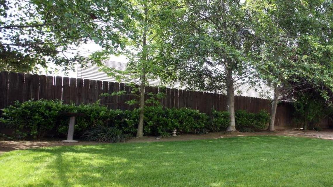 Gardening columnist Elinor Teague gives advice on how to fertilize lawns, gardens, plants and trees.