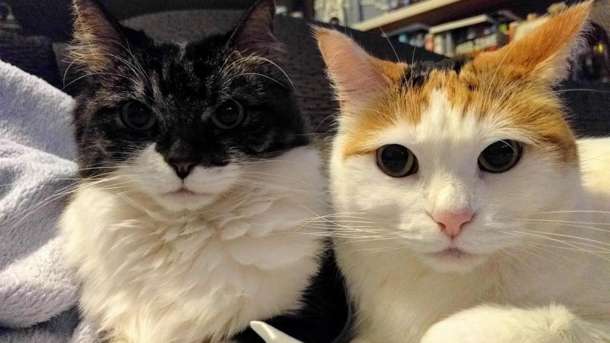 Chuck and Ellie posing for their picture