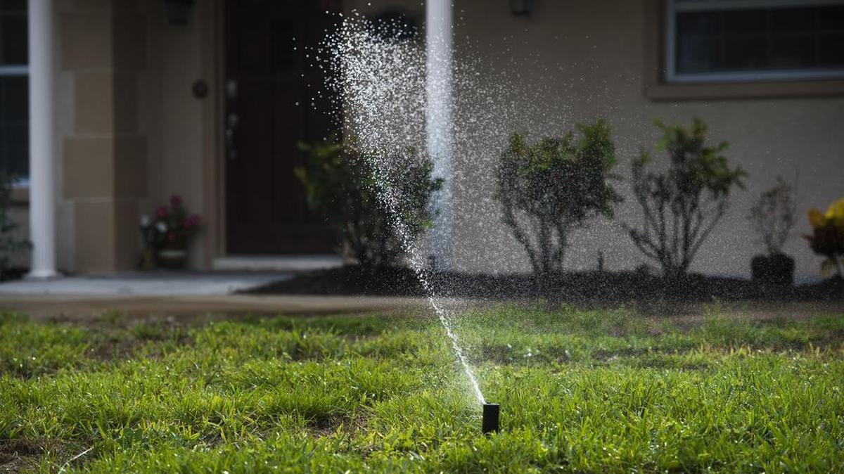 A traditional way to maintain a yard would be to use sprinklers. But one report, which cites a professor, states spreading urine mixed with water on the grass could help a yard even more.