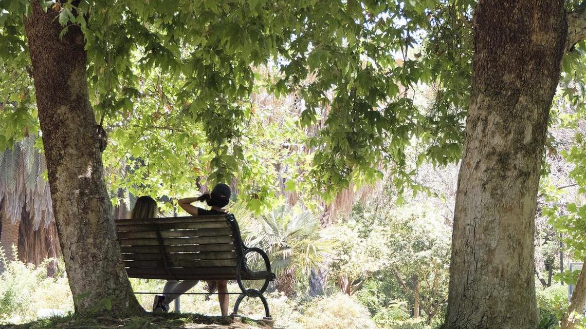 A well-planned shade tree (or two) is welcome anytime, but especially in summer heat.