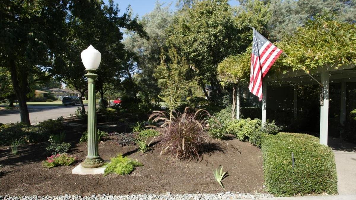 A Fresno garden that mixes full shade, partial shade and partial sun plant varieties under a partial tree shade canopy.