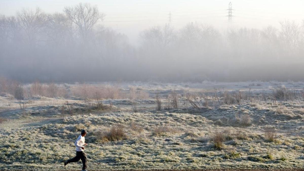 When frost hits California, native plants are tolerant.