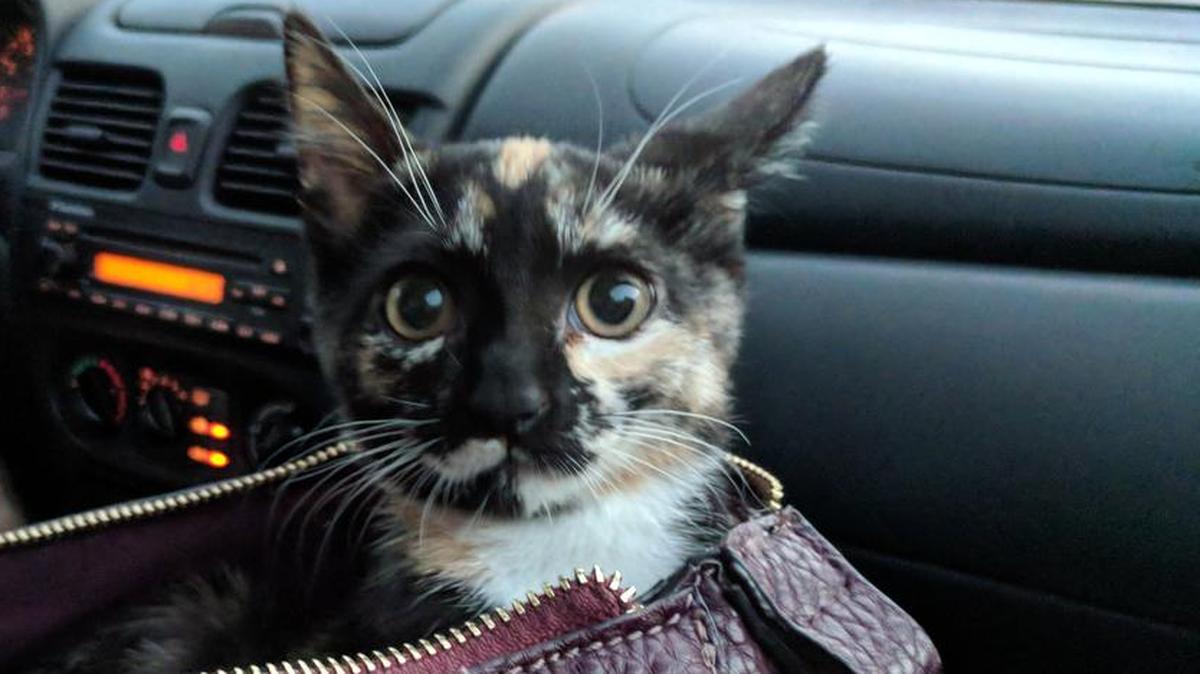 Aria doesn’t want to be left behind