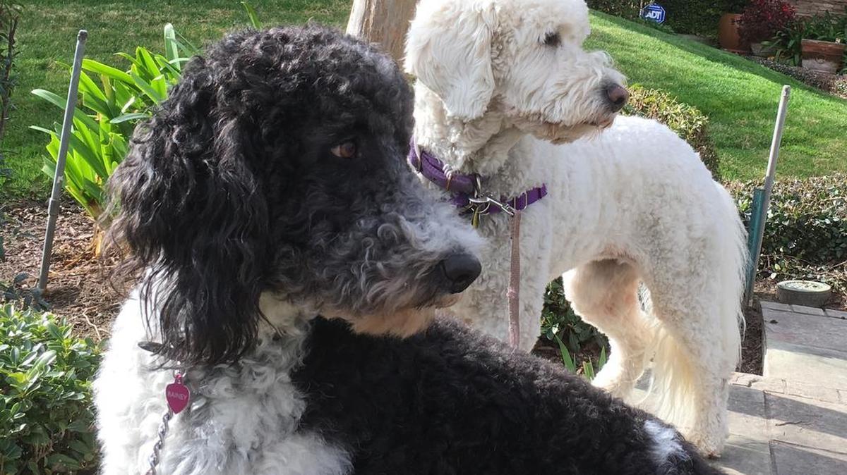 Abbey and Rainey watching the squirrels