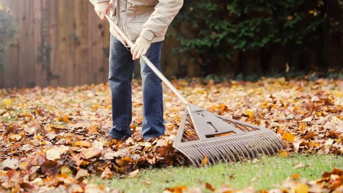 Cleaning your garden now is a good way to prevent pest insect populations from proliferating in the spring.