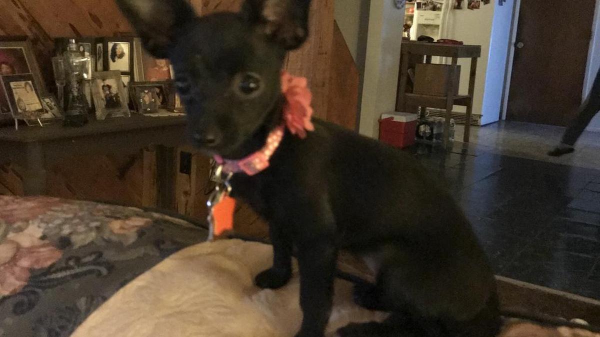 Khloe posing for a picture