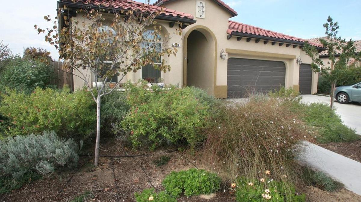 Drought-tolerant landscaping helps central San Joaquin Valley homeowners beat our naturally low-rainfall conditions.