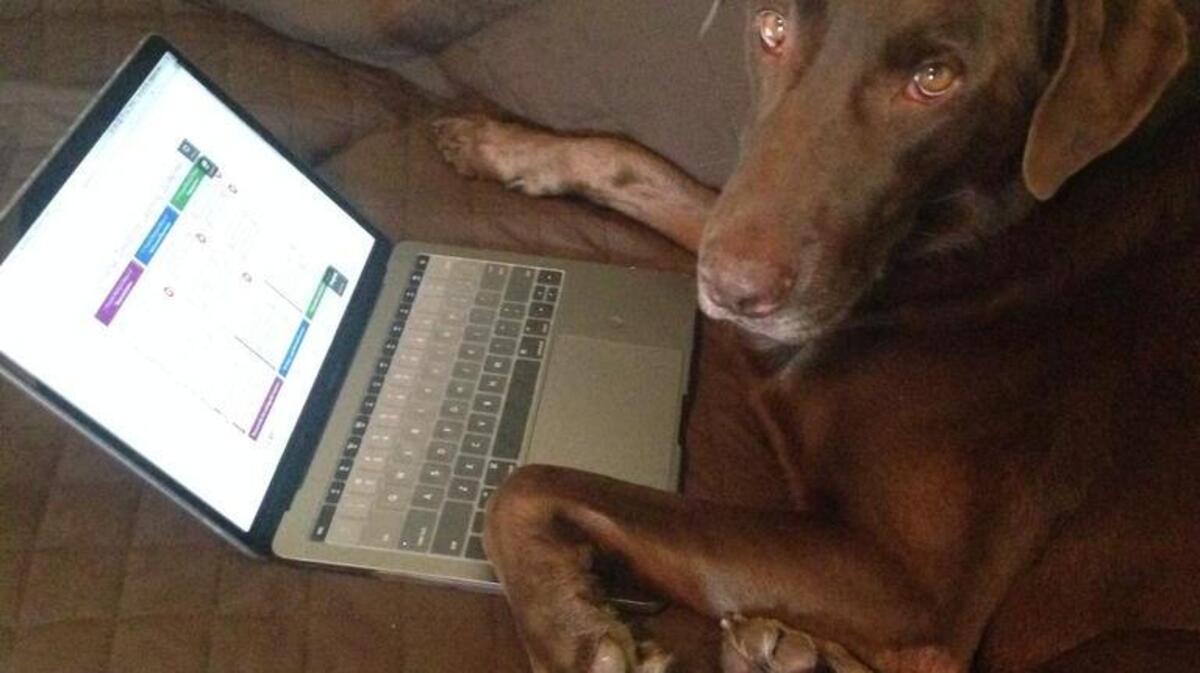 Coco emailing Grandma for more treats