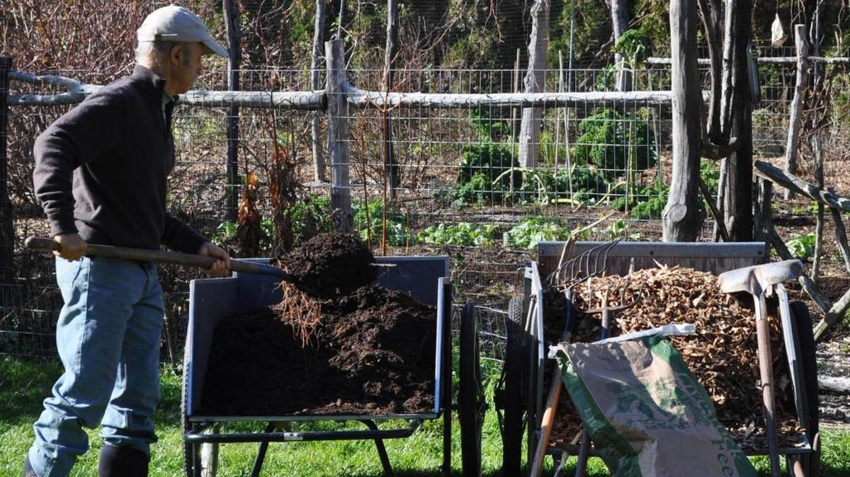 
Compost, either homemade or store-bought, is the best type of soil conditioner.
