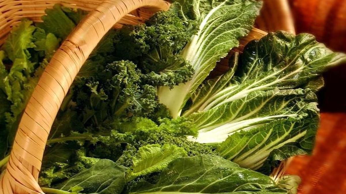 
Leafy greens can be grown from seed in containers.
