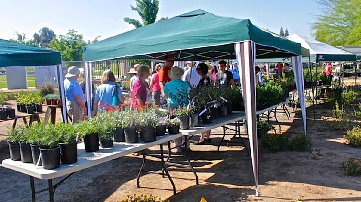 
Plants aplenty will be at the Clovis Botanical Garden.
