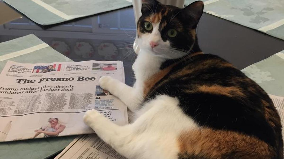 Addie enjoying her morning paper