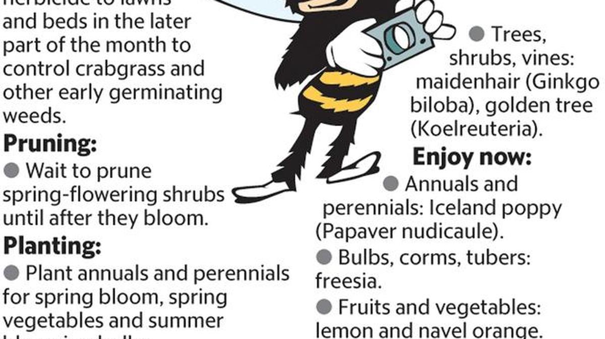 Garden checklist
