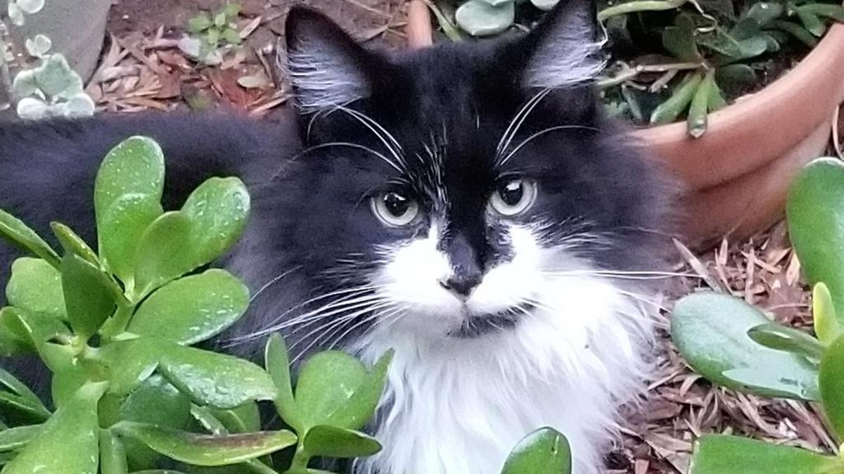 Ricky posing for a picture in the plants