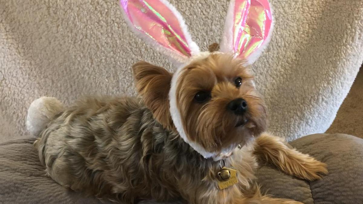 Sophia is ready for Easter