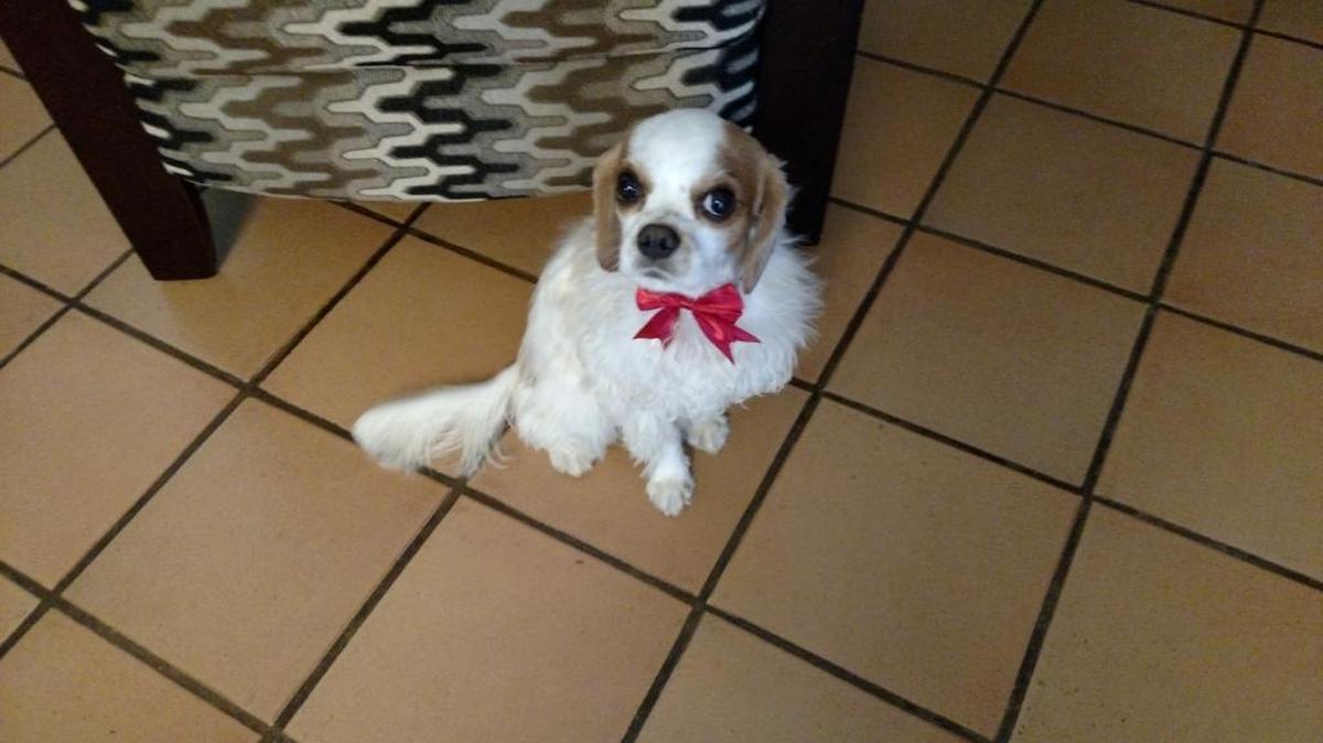 Here is Oakie from Oklahoma City!