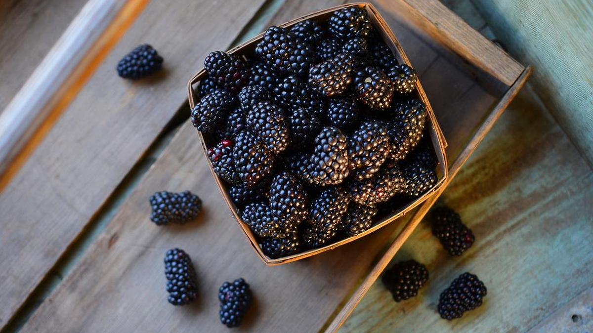 Blackberries are just coming into season and can be used in a variety of recipes including, of course, blackberry pie.