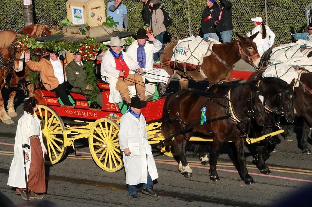 Burrel “Buckshot” Rambo Maier drove his stagecoach in the 2016 New Year’s Day Rose Parade in a procession celebrating the 100th anniversary of the National Park Service.