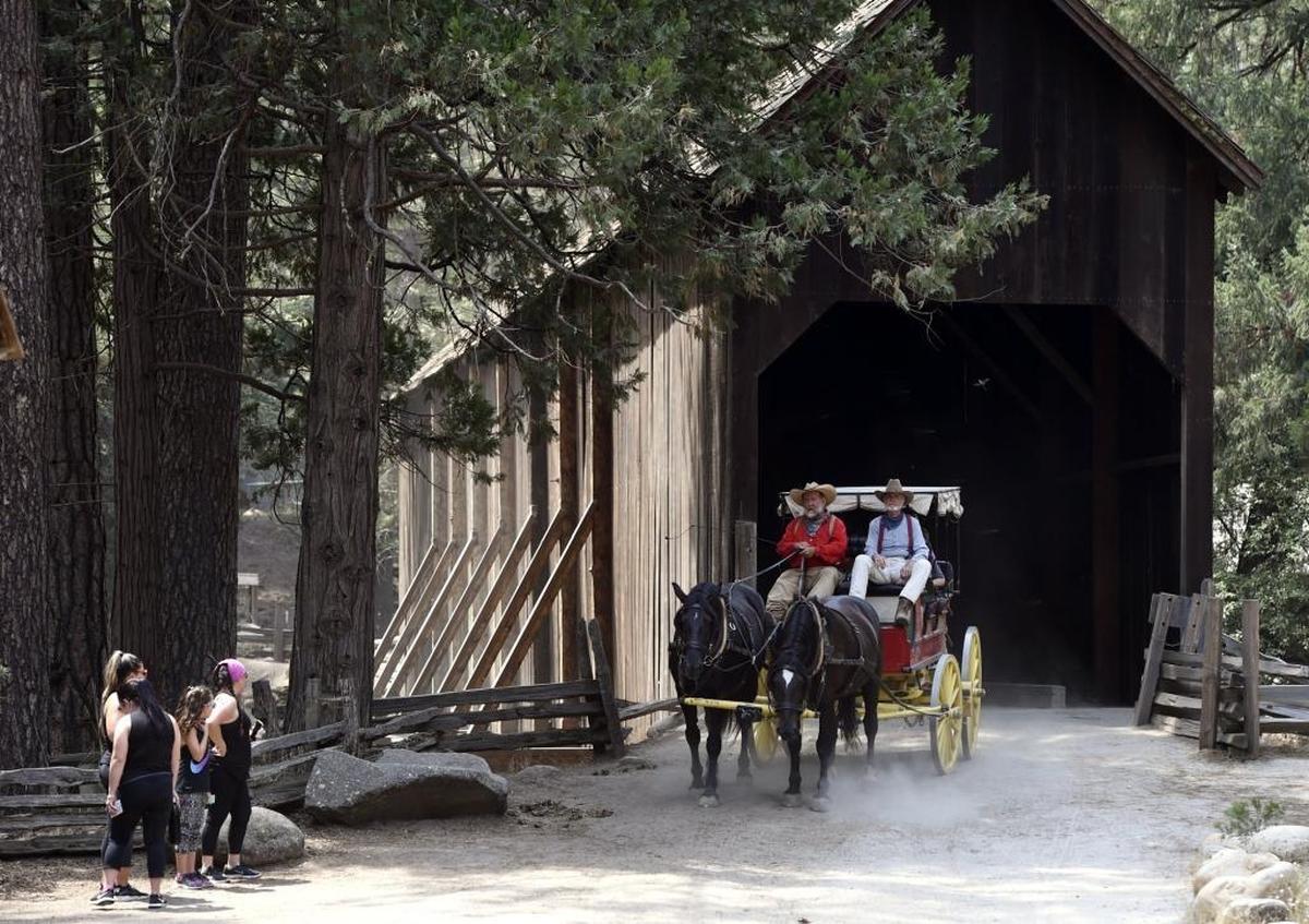 Burrel “Buckshot” Rambo Maier drives the stagecoach with Ron Townsend acting as swamper beside him crosses the wooden bridge to pick up new passengers in Wawona, Yosemite National Park, Thursday, Aug. 3, 2017.