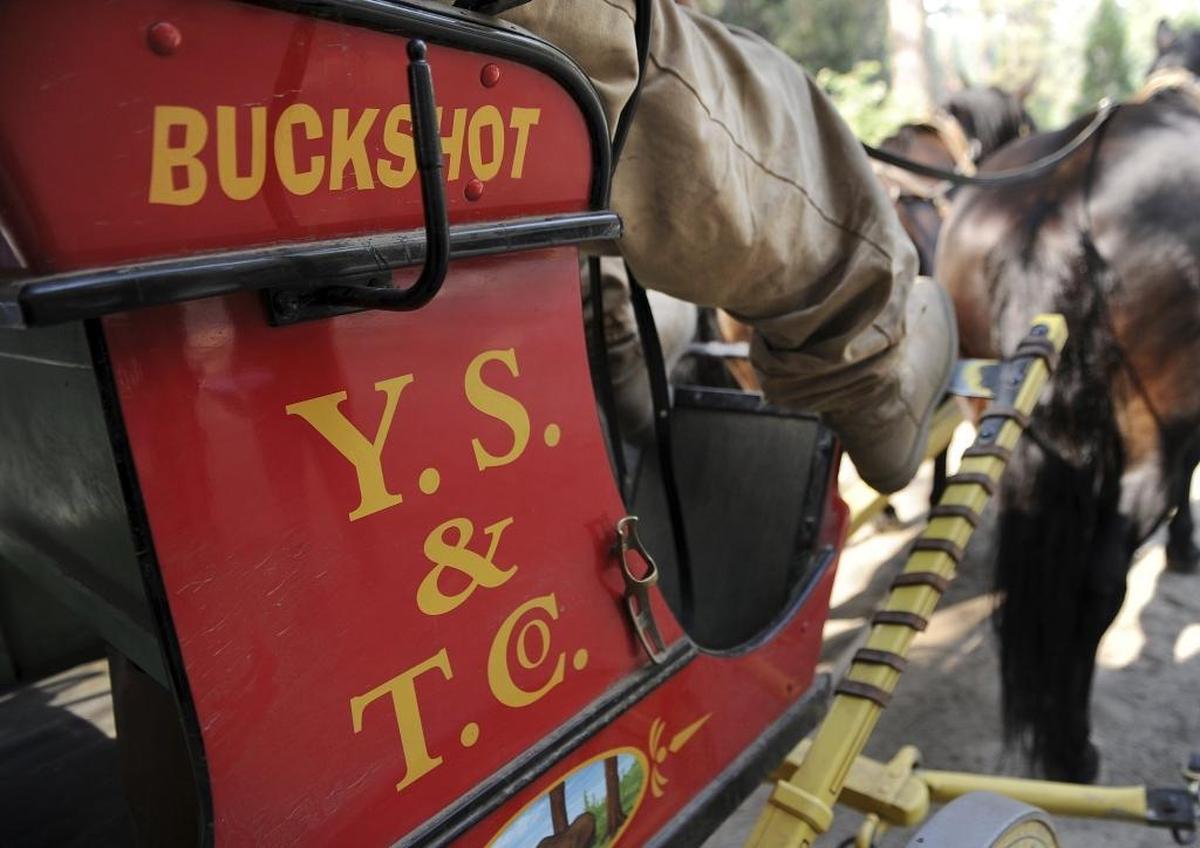 With his nickname on the stagecoach, Burrel “Buckshot” Rambo Maier has been offering rides as Wawona’s stagecoach driver in Yosemite National Park. Photographed Thursday, Aug. 3, 2017