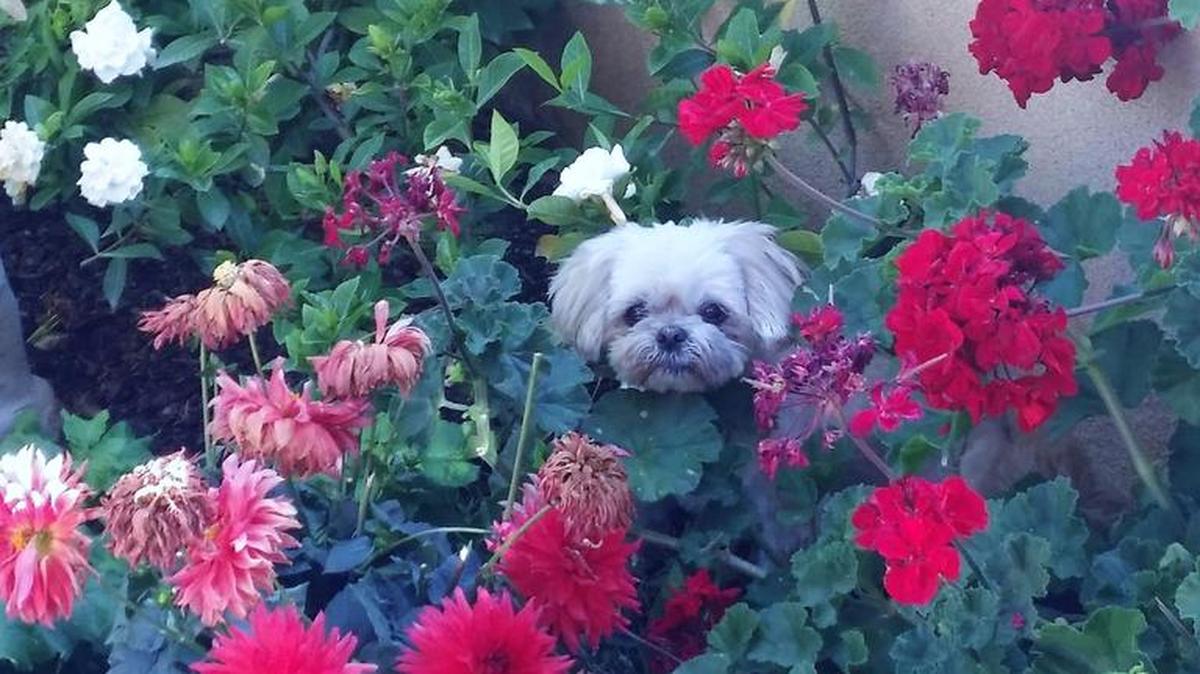 Megan is wanting to play hide and go seek.