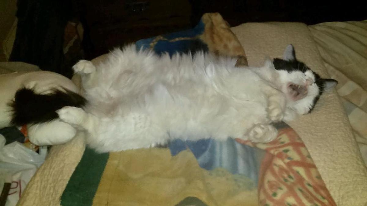 “I’m bored,” says Miss Echo.