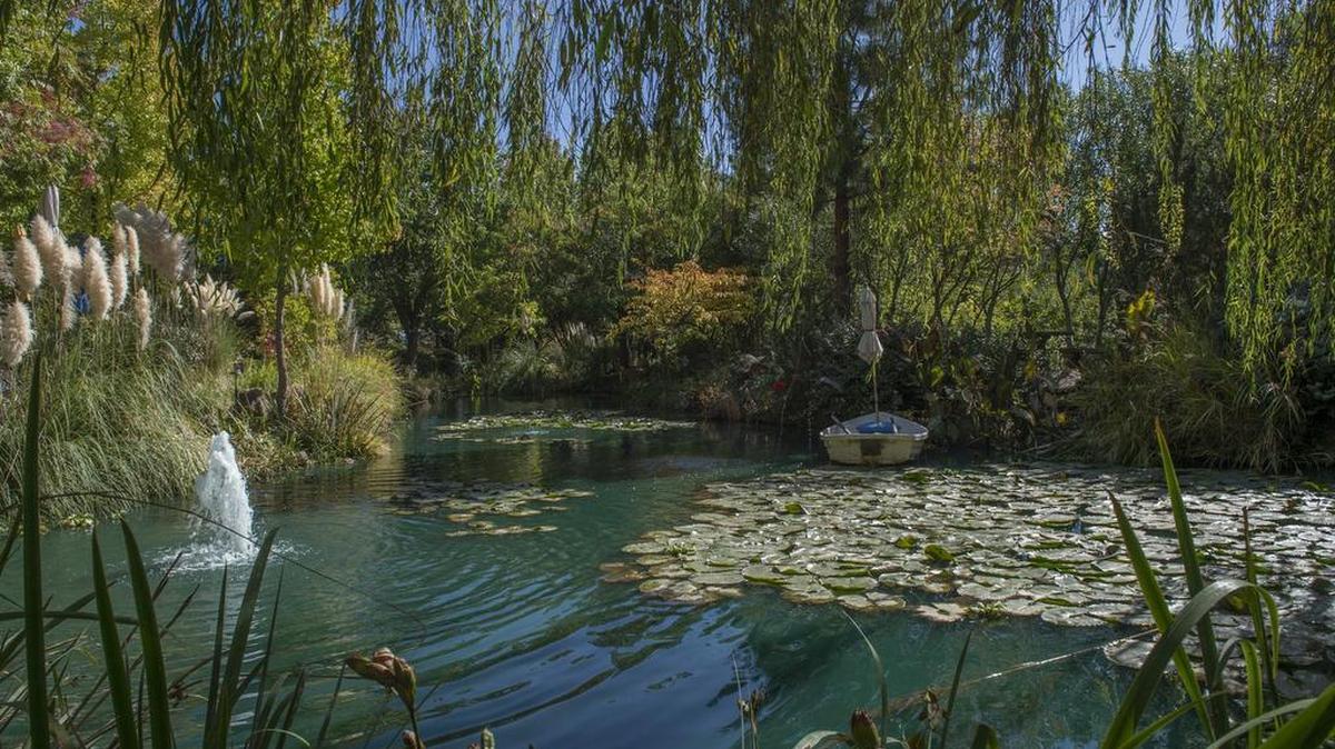 A beautiful pond at Troll Knoll blooms with magnificent water lilies and is filled with koi fish and surrounded by beautiful trees.