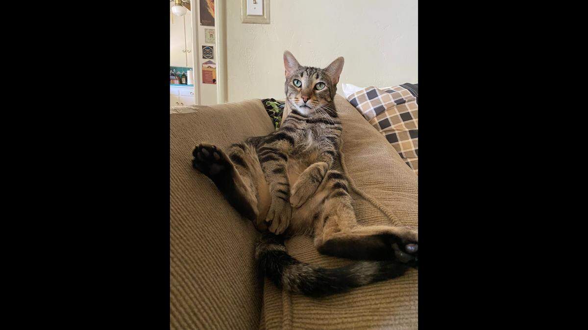 Kevin loves to lie around with his mom.