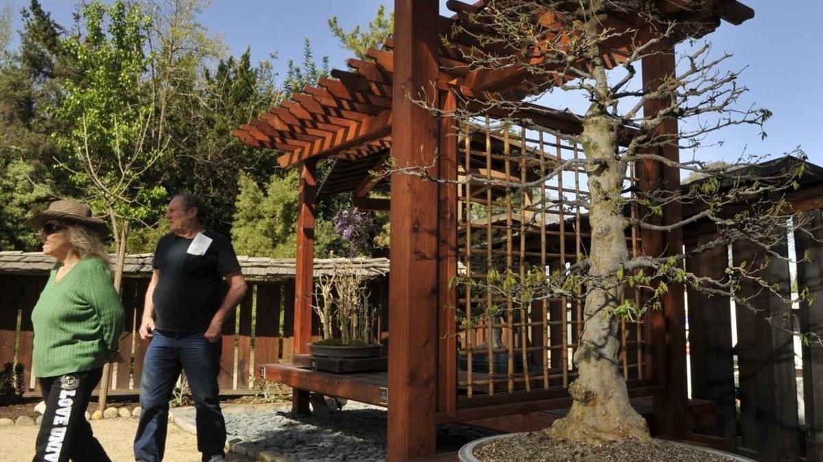Visitors tour the Clark Bonsai Collection, on display at Woodward Park’s Shinzen Garden.