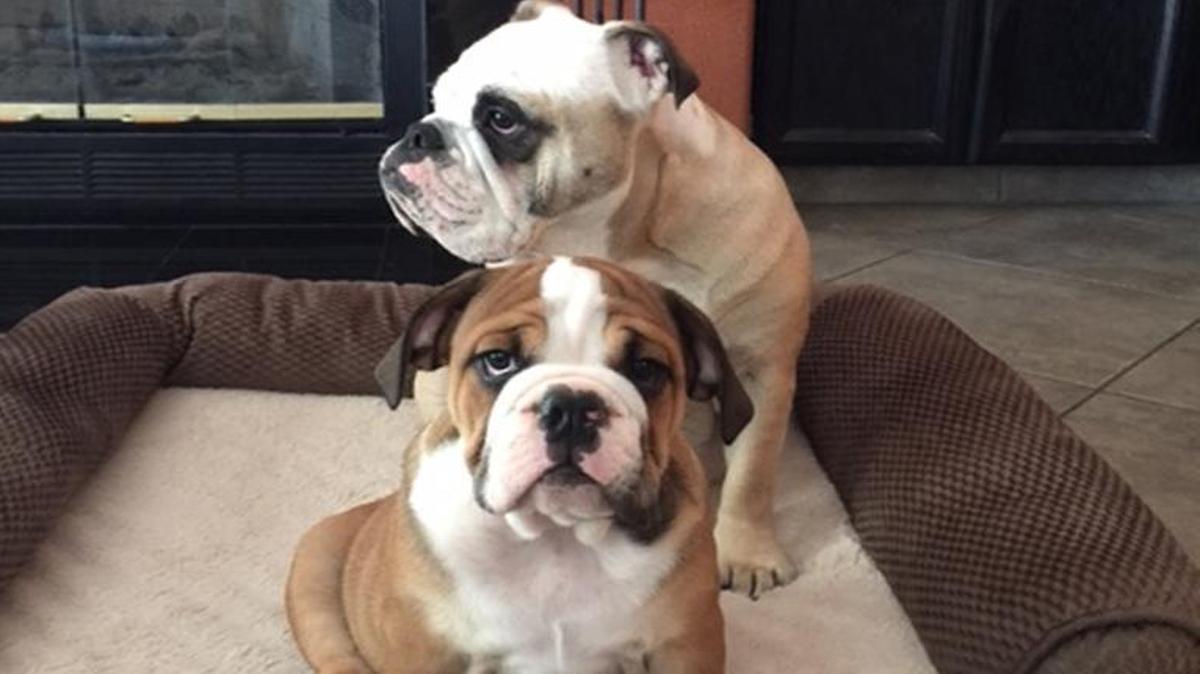 Grace and Tyson sharing a seat.