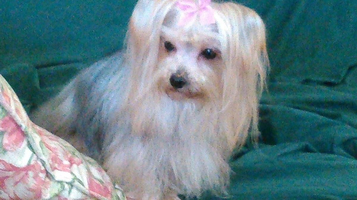 Maggie just had her hair done.