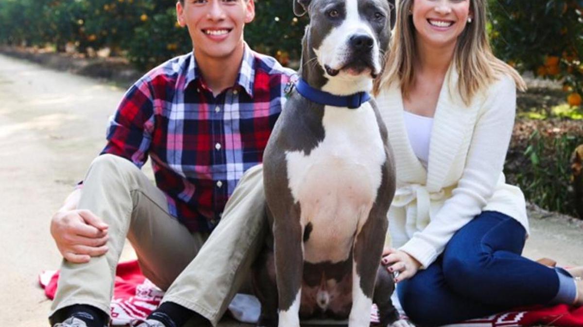 Sydney Hickman of Fresno shared this family photo on Twitter for National Pet Day.
