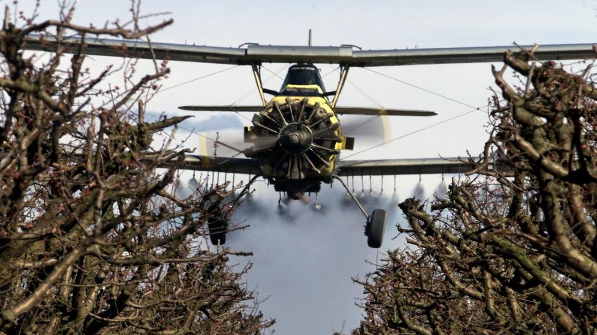 A crop duster applies fungicide to an orchard of nectarines north of Easton in this file photo from 2000.