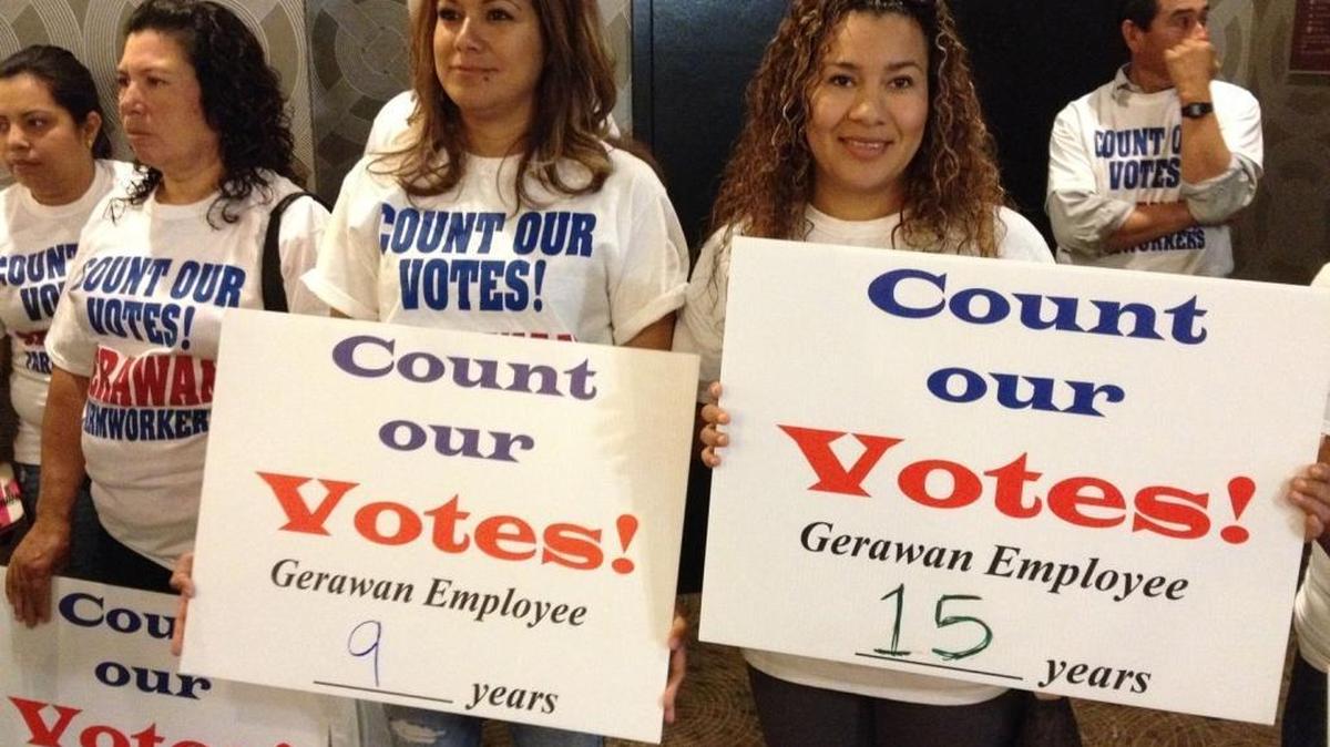 Gerawan Farming workers attend an October 2014 Agricultural Labor Relations Board hearing in Fresno over the Gerawan-UFW dispute.