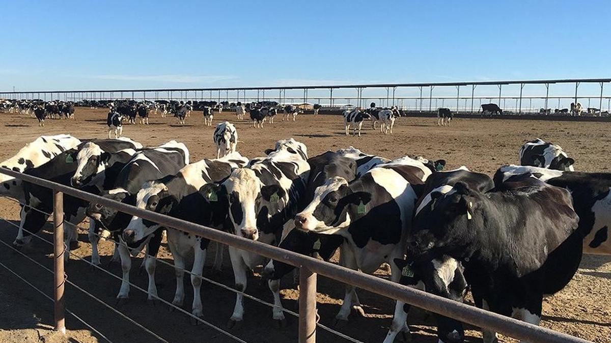 Open Sky Ranch in Riverdale received nearly $1 million in state funds for its dairy digester project