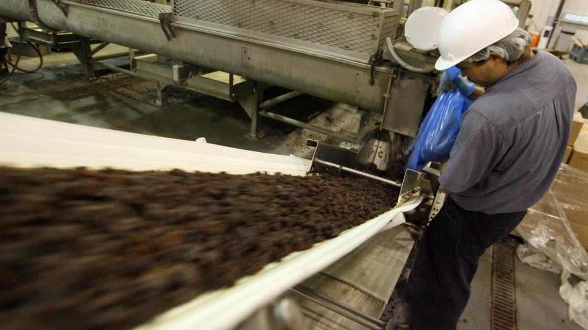 Raisins are sent along a conveyer belt at the West Coast Growers plant in 2006.