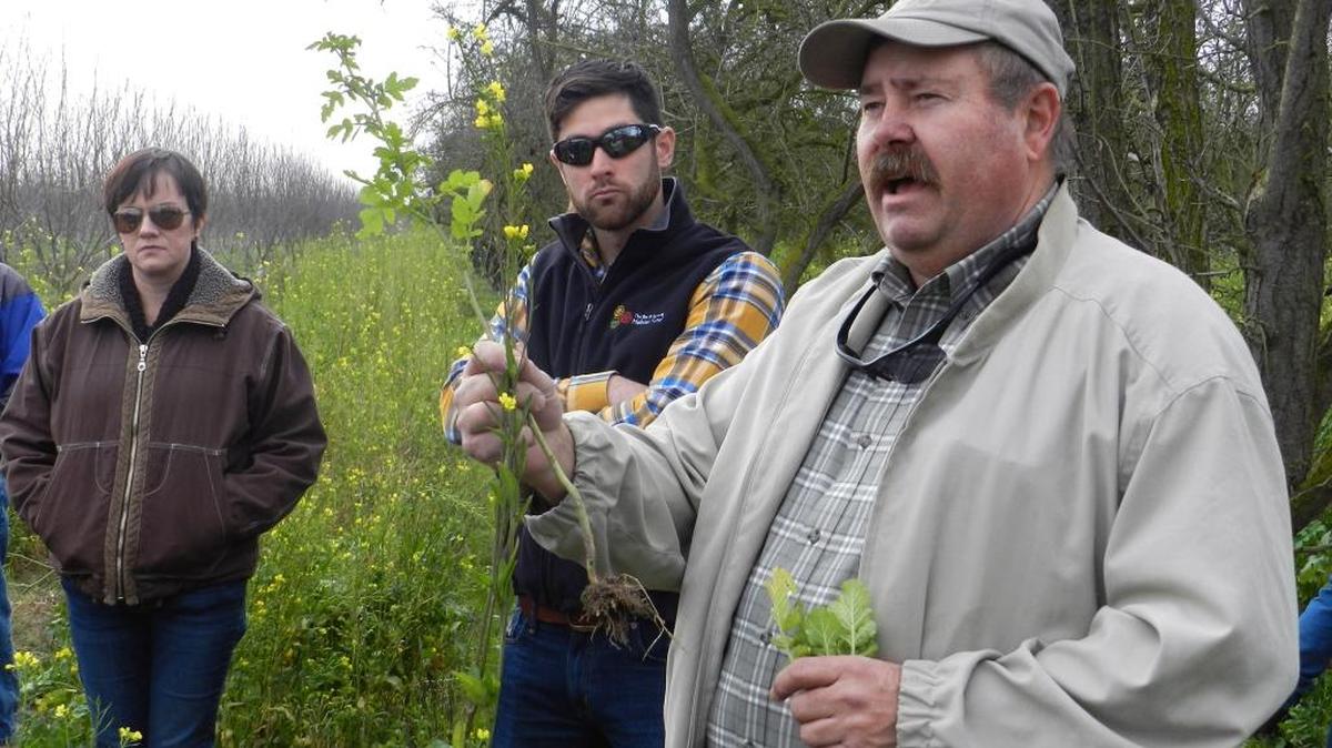 Tom Johnson, right, an agronomist with Kamprath Seeds, speaks in an orchard near Livingston on Tuesday about mustard flowers that were sown to provide food for bees in advance of the almond pollination in February.