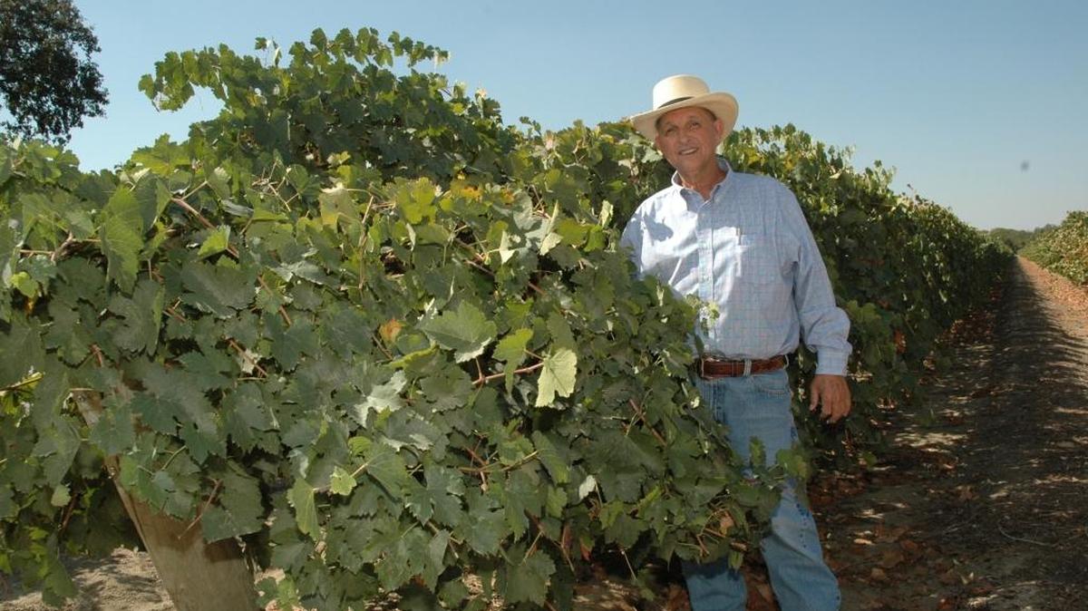 Jesus Gutierrez, owner of Far Western Nurseries