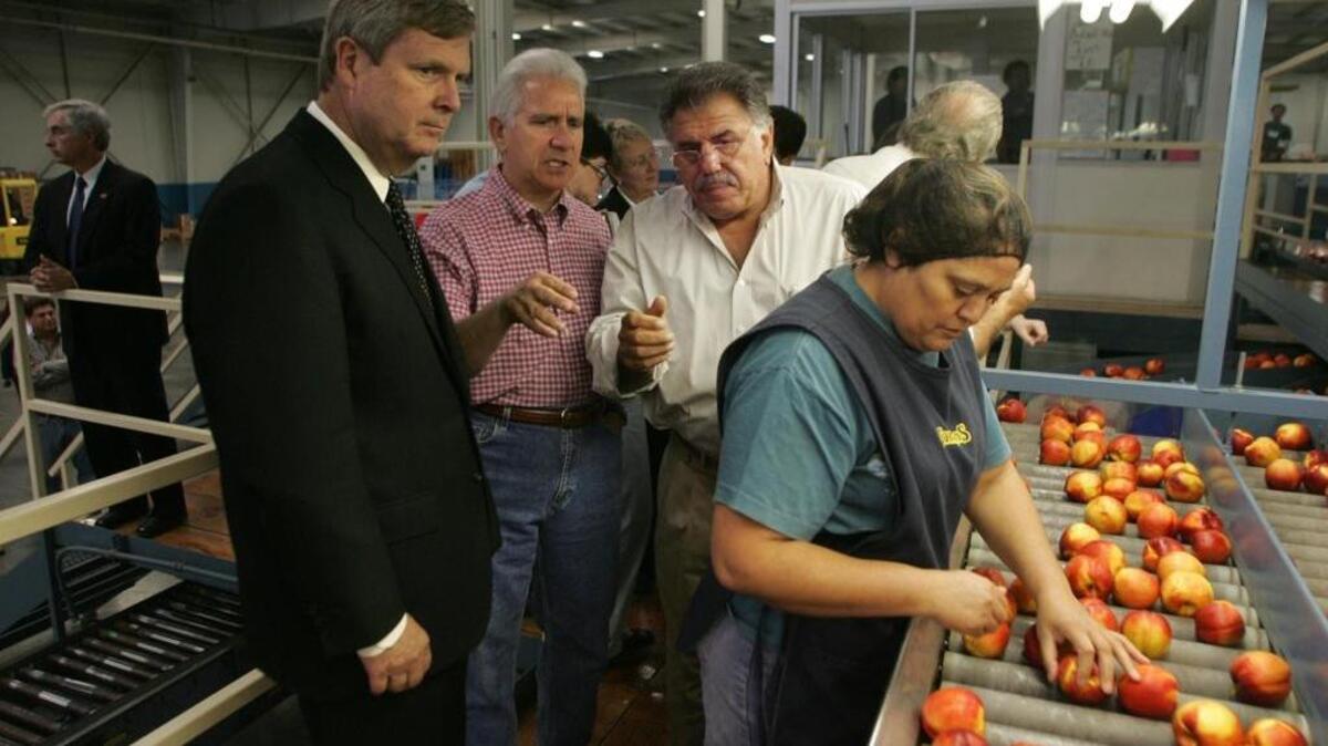 Left to right, Agriculture Secretary Tom Vilsack, congressman Jim Costa and grower/packer Dennis Parnagian watch Lucia Garcia sort nectarines at Fowler Packing in this 2009 photo. Fowler Packing is one of two Fresno-area companies appealing provisions of a law the firms say unfairly target them.
