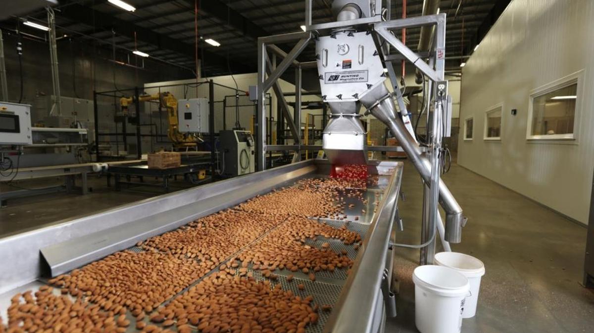 Almonds are processed in a new plant at Sran Family Orchards.