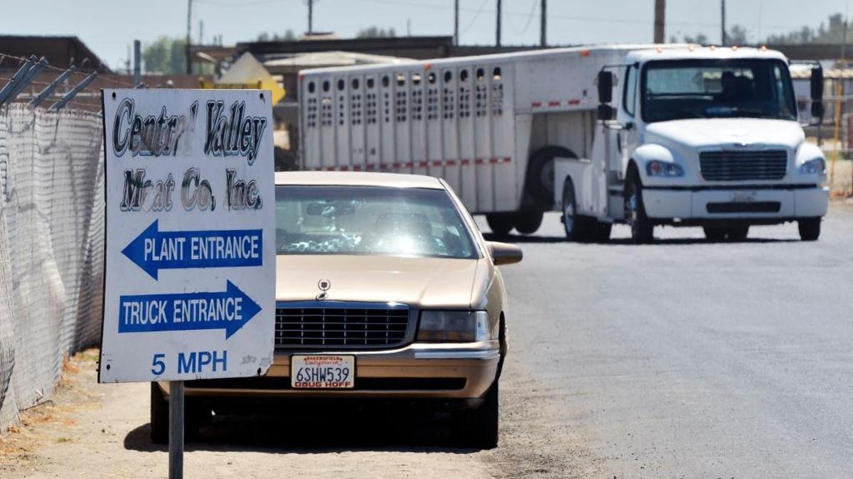 A truck pulling a livestock trailer leaves Central Valley Meat Co. in Hanford, Calif., in a 2012 file photo. Nearly 140 employees at the meat plant have tested positive for COVID-19, the disease caused by the novel coronavirus, in April and May 2020.