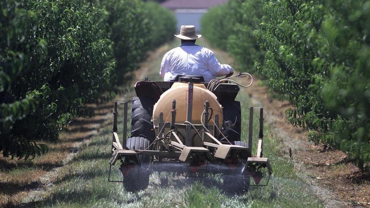 According to the Center for Biological Diversity, eight counties – Tulare, Fresno, Merced, Madera and Kern counties in the San Joaquin Valley plus Del Norte, Lake and Imperial – account for 54% of the state’s use of glyphosate. The center and others issued a report Monday calling for called for California regulators to curtail use of the weedkiller.