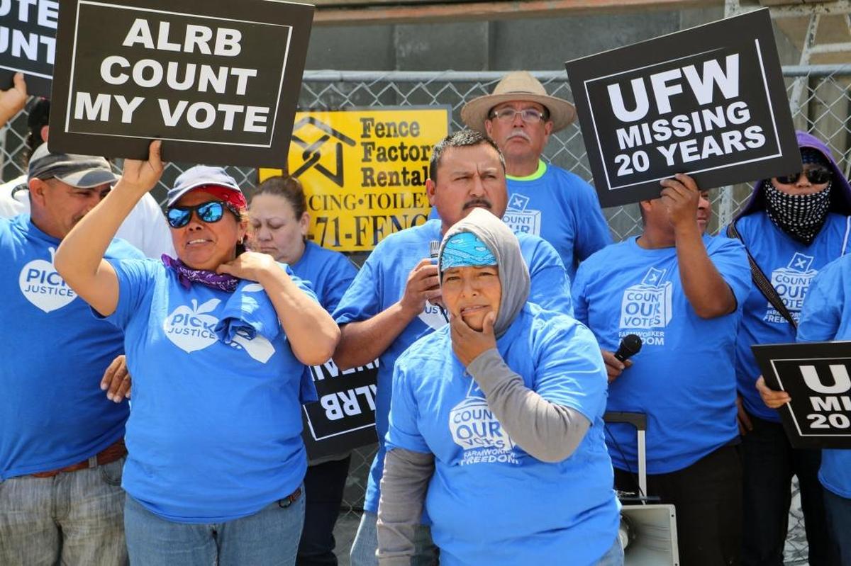About 150 Gerawan Farming Inc. workers protested an April 15 decision by the ALRB upholding an administrative law judge’s findings that the company interferred with a decertifcation vote. The company appealed the board’s decision. The protest took place outside the Fifth Circuit Court of Appeals.