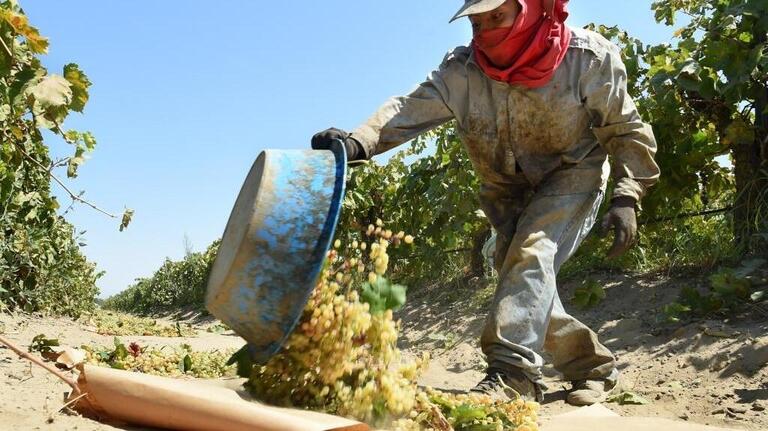 California’s ‘most disadvantaged’ workers have widespread chronic health issues, study finds